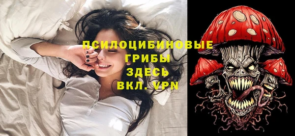 сатива Семилуки