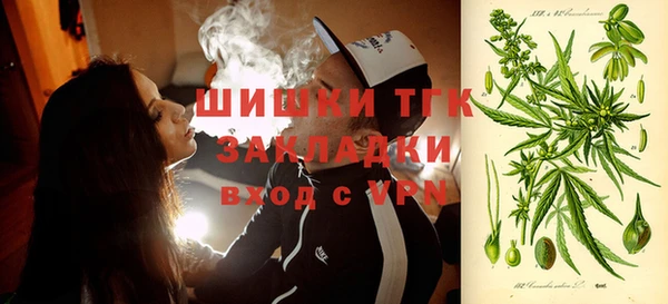 сатива Семилуки