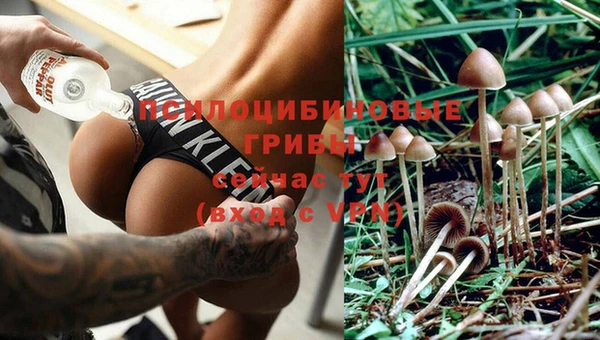 спиды Семикаракорск