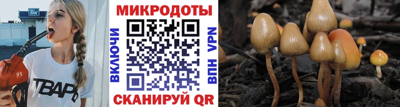 Купить  Олёкминск  Псилоцибиновые грибы ЛСД 